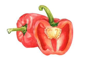 Watercolor paprika and sliced paprika paper vegetable isolated on a white background illustration.
