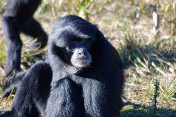 Pictures of animals from the Zoo