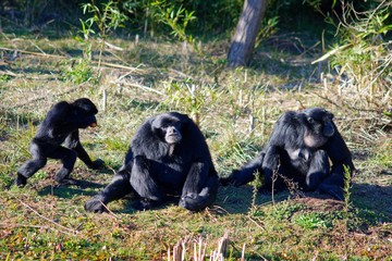 Pictures of animals from the Zoo