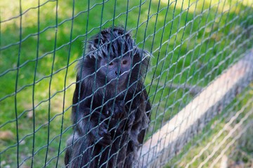 Pictures of animals from the Zoo