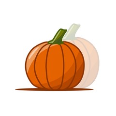 Orange pumpkin in flat style design vector illustration isolated on white background. Autumn halloween, thanksgiving day pumpkin, vegetable graphic icon sign fresh and tasty