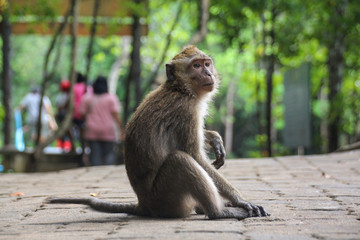 This is Thailand in South East Asia