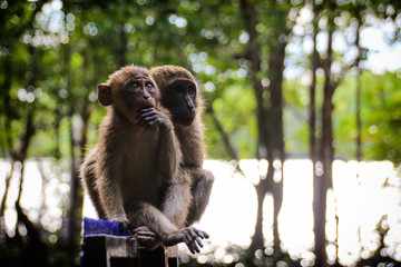 This is Thailand in South East Asia