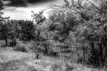 Little River in Boise