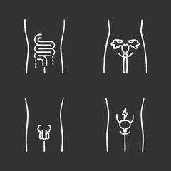 Ill human organs chalk icons set. Sore intestines and urinary bladder. Unhealthy women and men reproductive systems. Infertility. Sick internal body parts. Isolated vector chalkboard illustrations
