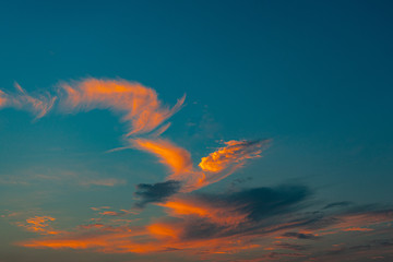 Clouds in the shape of a bird.