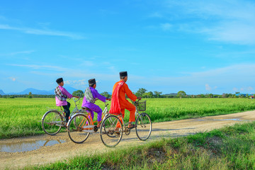 Fototapeta premium happy young local boy riding old bicycle at paddy field