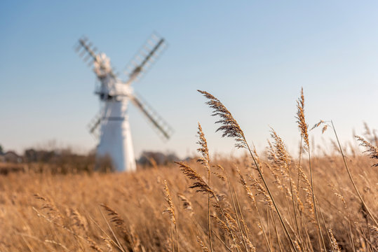 UK, England, East Anglia, Norfolk, Norfolk Broads, Thurne, Thurne Dyke Drainage Mill