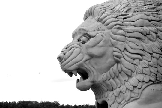Photo portrait of white beautiful lion sculpture