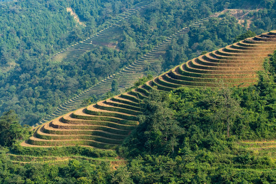 Asia,  Vietnam, Ho??ng Li?n Son Mountains, Sa Pa