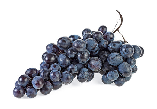Ripe blue grapes isolated on a white background