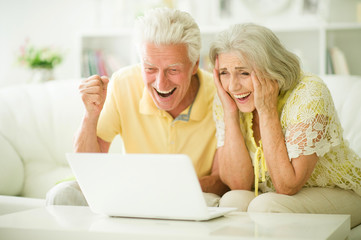 Portrait of senior couple using laptop at home