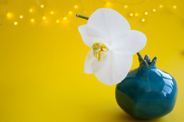 Orchid. White flower on a yellow background. Minimalistic style. Place for text.
