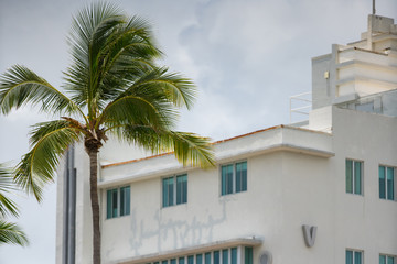 Miami Beach deco architecture and tropical palm tree fronds