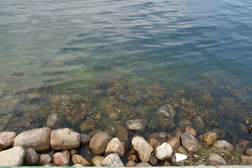 SONY DSC