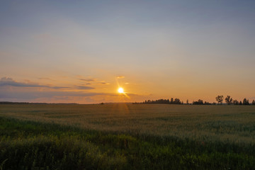 Yellow-orange disk of the setting sun over the horizon and a little cloudy.