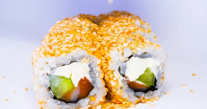 One or more maki rolls in a row with salmon, avocado, tuna and cucumber isolated on white background. Fresh hosomaki pieces with rice and nori. Closeup of delicious japanese food with sushi roll.