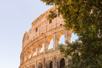 Obraz na płótnie Canvas colosseum in rome italy