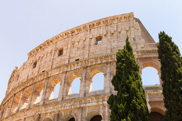 colosseum in rome