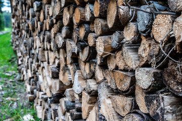 Holz f&uuml;r die Forstwirtschaft im Wald