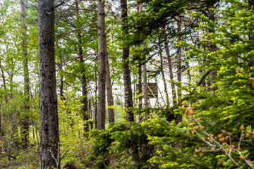 J&auml;gerhochsitz tief im Wald