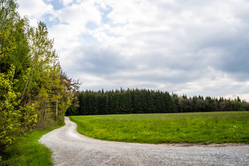 Waldweg zum wandern und für Forstwirtschaft