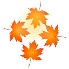 Naklejka na ściany i meble Maple leaf set, autumn concept, vector illustration