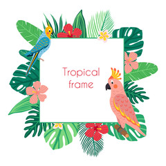 Vector  square frame with tropical birds and leaves. Exotic parrot: cockatoo  and  Cockatiel and plants: monstera, banana, hibiscus, palm . Illustration in flat style. © Anastasiia Trembach