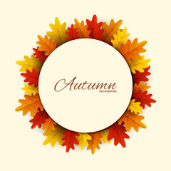 Frame with red, orange and yellow autumn leaves, vector illustration