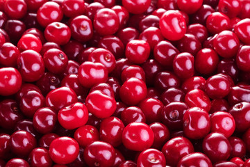 background of red cherries 