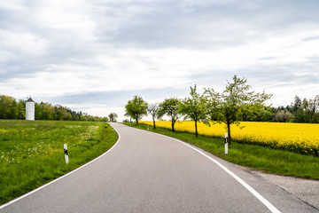 Straße zwischen Rapsfeld und Ackerlandschaft mitten in der Natur