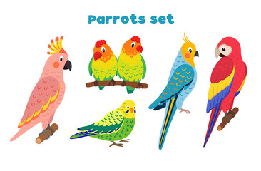 Set of vector tropical birds. Exotic parrots: macaws, lovebirds, cockatoos, budgerigar. Illustration in flat style.