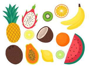 vector set of exotic fruits: pineapple, watermelon, lemon, lime, coconut, banana, papaya, kiwi, dragon fruit. Tropical food. Hand-drawn flat illustration. use for the menu and textile.
