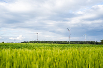 Windenergie und Roggenfeld auf dem Land im Frühling
