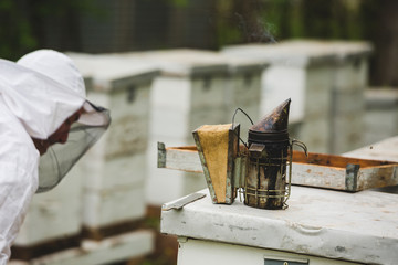 Fototapeta na wymiar apiarist working examine bees hive in apiary