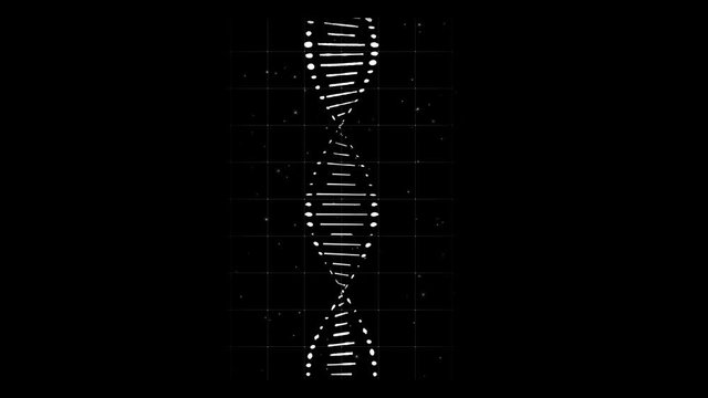 Head electron microscope. 3D rendered looping animation of a gathering and rotating DNA.