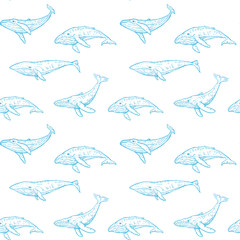Fototapeta premium Cartoon seamless pattern with whales. Vector Illustration. Background for wallpaper, textile.