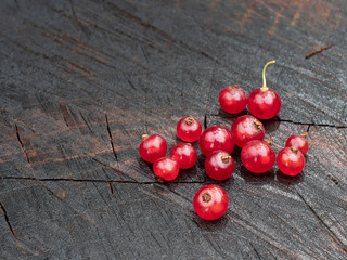 Red currant on the stump. Currant berries scattered. Close-up. Still life.