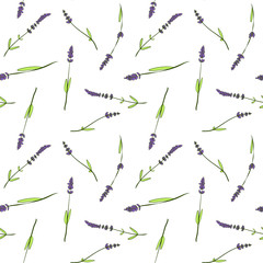 Cartoon seamless pattern with hand drawn sketch lavender. Vector vintage retro background. Texture design for branding textile, covers, package.
