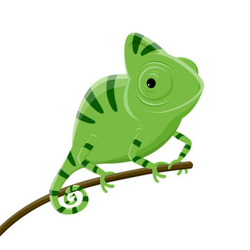 Lizard Cartoon Images – Browse 60,356 Stock Photos, Vectors, and Video |  Adobe Stock