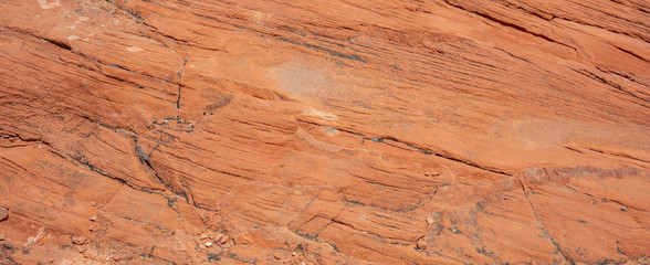 Fototapeta na wymiar Red sandstone rock background, texture. Valley of fire state park, Nevada USA.