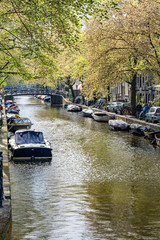 Springtime blooms along a canal in Amsterdam