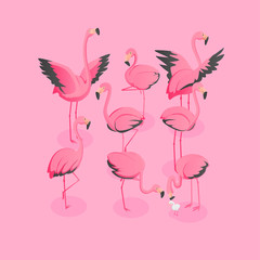 Isometric View Of Flock Of Flamingos