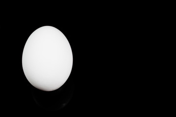 Egg on black background