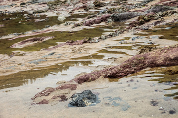Beautiful bay in north Spain