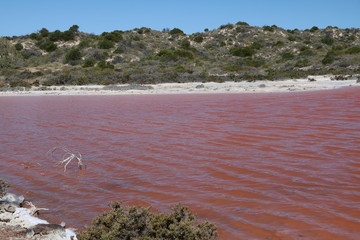 Pink Lake or Hutt Lagoon in Western Australia, Oceania