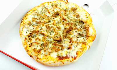 Pizza in box delivery on white background, Blank for design, food concept Front view..