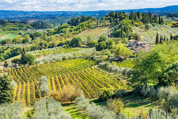 Fototapeta premium Tuscan Farm Winery Vineyard Countryside San Gimignano Tuscany Italy