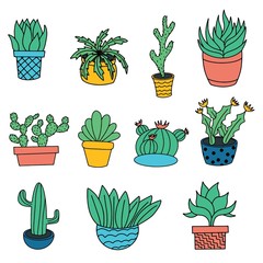 Room cactus. Flat, cartoon style. 
