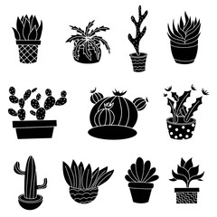 Room cactus. Flat, cartoon style. 